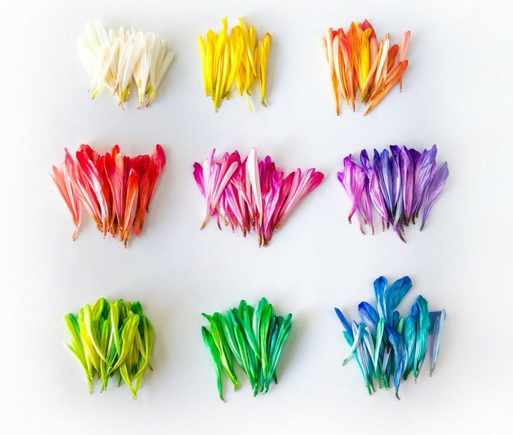کوفتی بهتر: گلبرگ ها و برگ ها جایگزین های طبیعی برای زرق و برق پلاستیکی هستند. تصویر: جسیکا لی