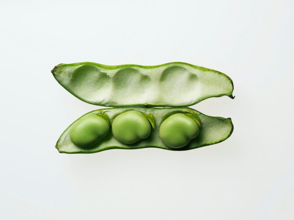 image: Kei Uesugi