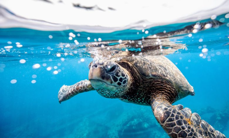 Main image: LL28/iStock